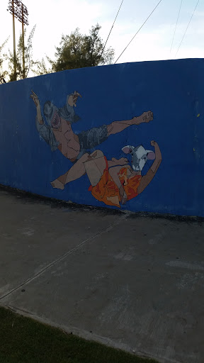 Crazy Fight Wall Art
