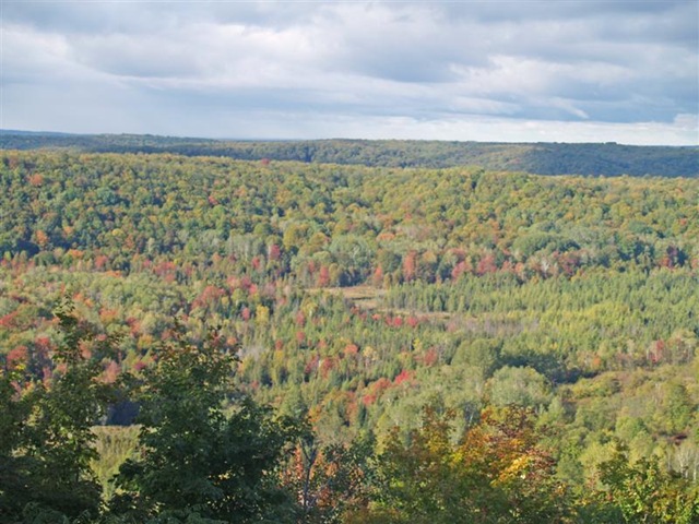 [PA043016copy (Medium)[11].jpg]