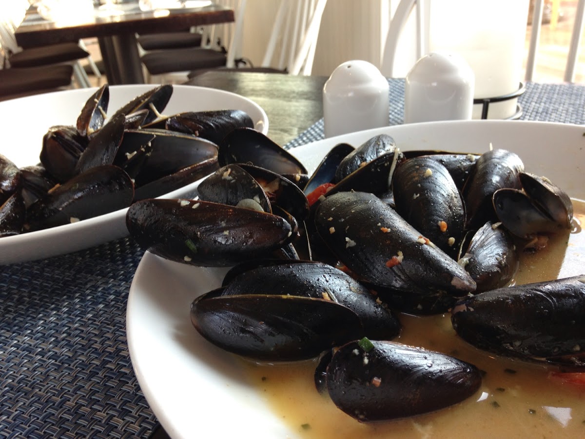Mussels- GF without bread (save some rolls!!)
