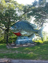 Onalaska Sunfish Statuary