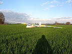 zugvogel.JPG