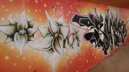 Graffiti Passage Souterrain