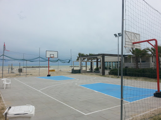 Beach Basket Court