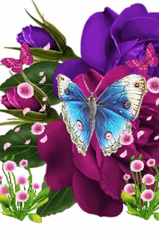 Blue Butterfly On Purple Flowe