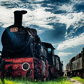 Old beast by Cristian Puscasu - Transportation Trains ( history, old, sky, hdr, blue, train, museum )