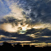 Evening Sky