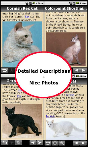 The Complete Cat Directory