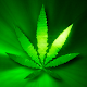 Download Marijuana Leaf Live Wallpaper FREE For PC Windows and Mac 2.0