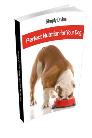 Dog Food Recipes