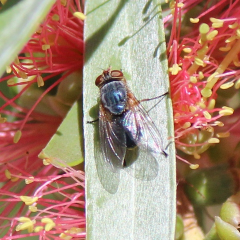 Spotting Image 1
