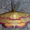 Chickweed Geometer