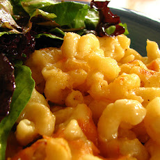 Baked Macaroni and Cheese III