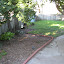 Cookingardener's Shade garden