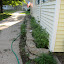 Cookingardener's Vegetable garden