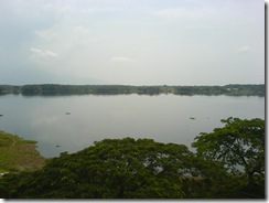 DSC00390