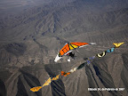 5. Emprendiendo vuelo