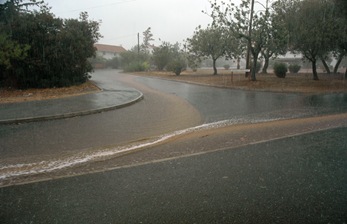 [Rain3[3].jpg]