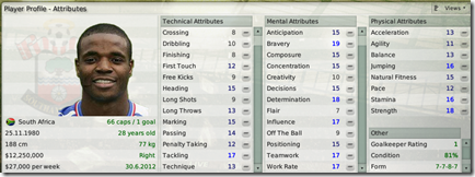 The most important purchase is Aaron Mokoena whom I decided to be a new captain of Southampton