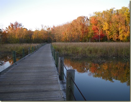 IMGP0853