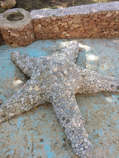 Морская Звезда