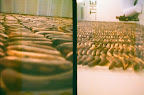 47050025.JPG