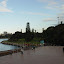 View of the Royal Botanic Gardens from the Sydney Opera House
