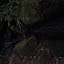 A drinkable spring (Too dark... should have used my flash)