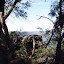 View through the trees