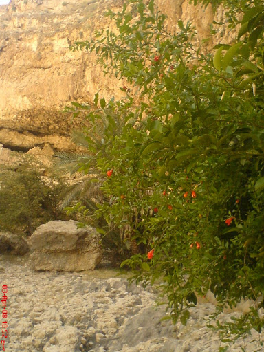 بی بی غار