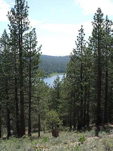 Spooner Lake