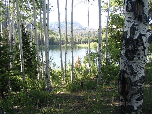 [2008_07_18 081[4].jpg]