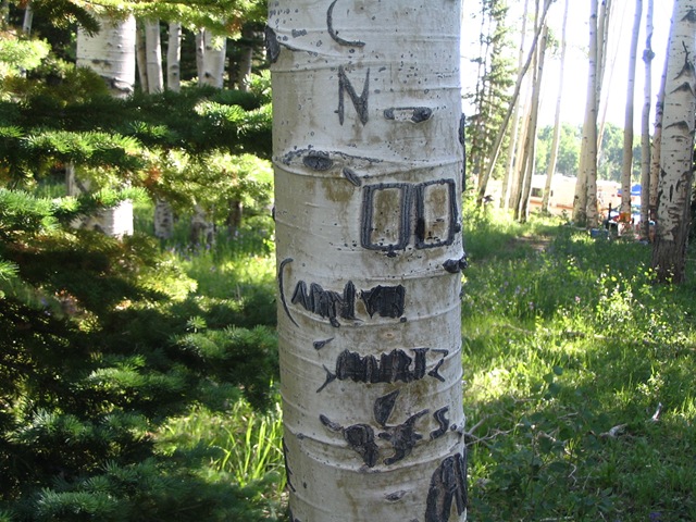 [2008_07_19 012[7].jpg]