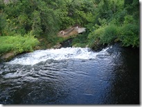 2008_08_15 064