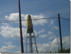 2008_08_16 034