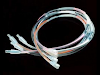 Collares Phiten Rakuwa X50 Directamente De Usa 