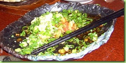 tori tamanegi