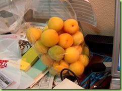 PICT0003