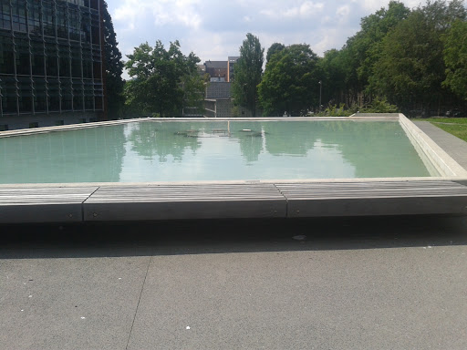 Fountain in a Pool