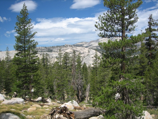 [IMG_151710.jpg]