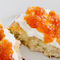 Bellini Jam