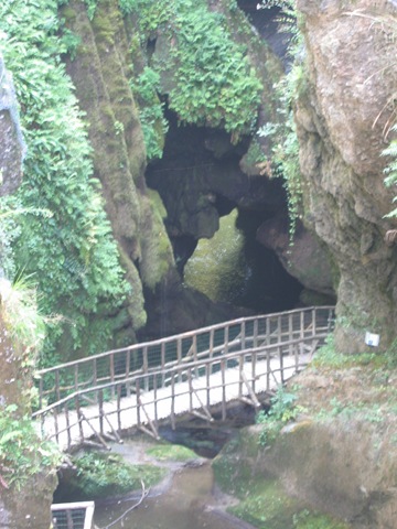 [IMG_44772.jpg]