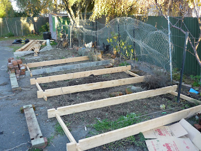 Laying out garden beds