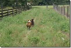 Weekend at The Farm 127
