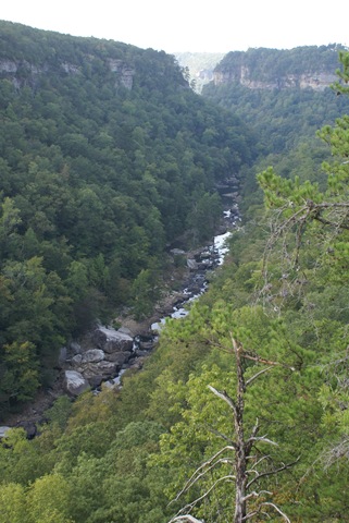 [September20081562.jpg]