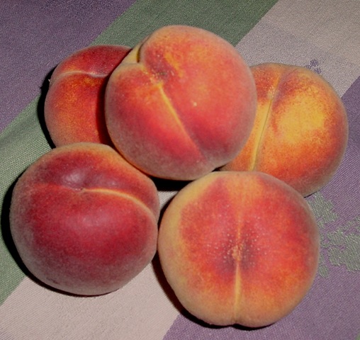 [peaches[7].jpg]