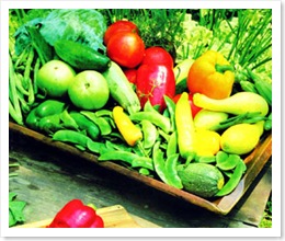vegetales1