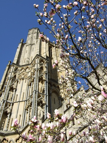 [2008-03-22 15-07-33_0162[1].jpg]