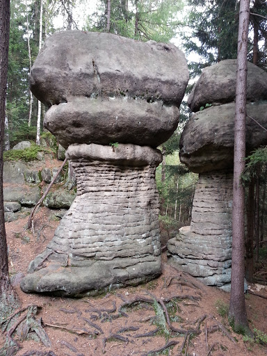 Stone Shrooms