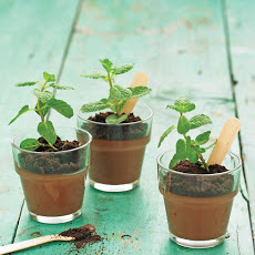 Potted Chocolate-Mint Puddings