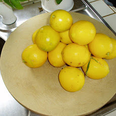 Osso Buco with Lemon and Olives